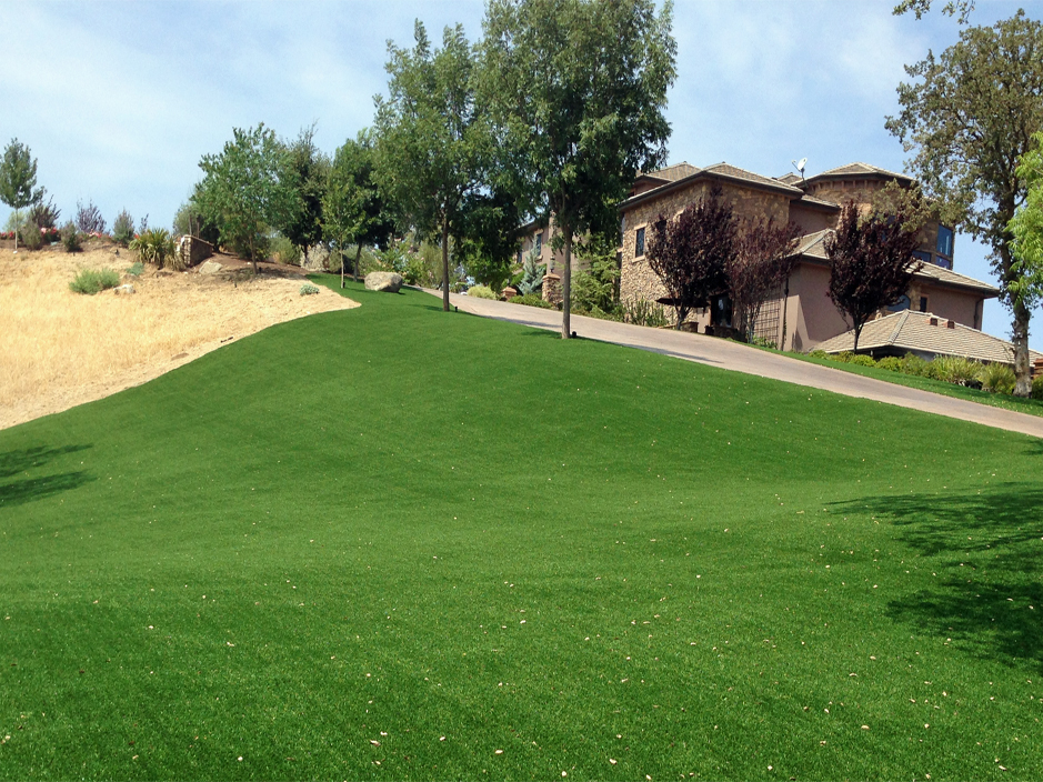 Artificial Turf Installation Signal Hill California Design Ideas Front Yard Landscaping Ideas