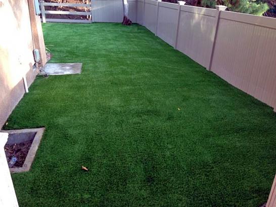 Artificial Grass Bradbury, California Pet Paradise, Backyard Design artificial grass