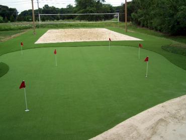 Artificial Grass Photos: Artificial Grass Carpet Altadena, California Stadium, Beautiful Backyards