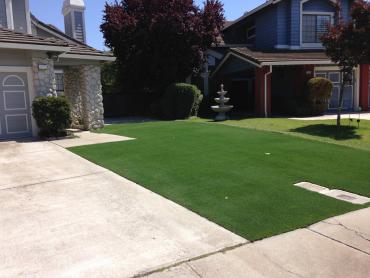Artificial Grass Photos: Artificial Grass Carpet Barstow Heights, California Landscaping, Front Yard Landscaping Ideas