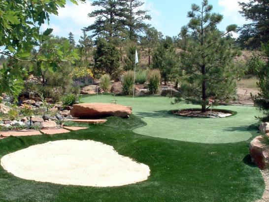 Artificial Grass Photos: Artificial Grass Carpet Bell Gardens, California Putting Greens, Backyard