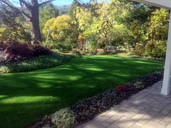 Artificial Grass Photos: Artificial Grass Carpet Big River, California Landscaping, Beautiful Backyards