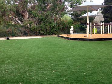 Artificial Grass Photos: Artificial Grass Carpet Green Acres, California Playground Turf