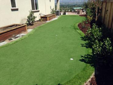 Artificial Grass Photos: Artificial Grass Carpet Highland, California Roof Top, Backyard Makeover