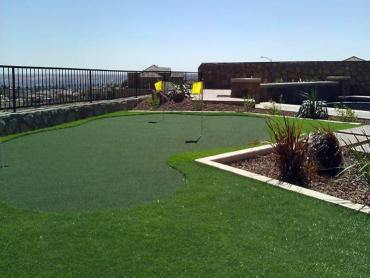 Artificial Grass Photos: Artificial Grass Carpet Lake Elsinore, California Gardeners