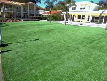 Artificial Grass Photos: Artificial Grass Carpet Las Flores, California Landscape Photos, Commercial Landscape