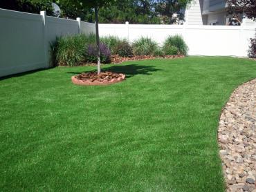 Artificial Grass Carpet San Antonio Heights, California Roof Top, Backyard Designs artificial grass