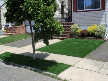 Artificial Grass Photos: Artificial Grass Carpet Sunnyslope, California Landscape Ideas, Front Yard Landscaping