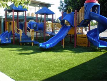 Artificial Grass Photos: Artificial Grass Carpet Temple City, California City Landscape, Commercial Landscape