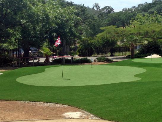 Artificial Grass Photos: Artificial Grass Carpet Vincent, California Roof Top, Front Yard Design