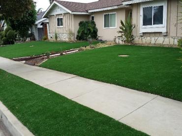 Artificial Grass Photos: Artificial Grass East Pasadena, California Design Ideas, Front Yard Ideas