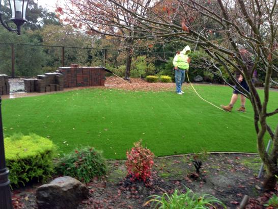 Artificial Grass Photos: Artificial Grass El Segundo, California Backyard Playground, Backyard Makeover