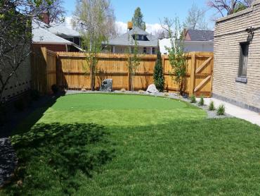 Artificial Grass Photos: Artificial Grass Installation East La Mirada, California Landscape Design, Small Backyard Ideas