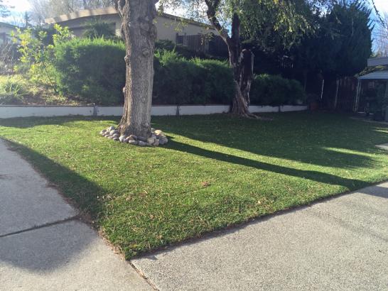 Artificial Grass Photos: Artificial Grass Installation Long Beach, California Gardeners, Front Yard Landscape Ideas