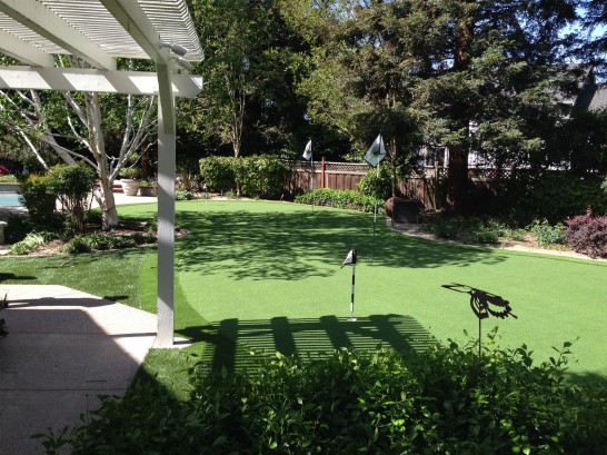 Artificial Grass Photos: Artificial Grass Installation Malibu, California Home And Garden