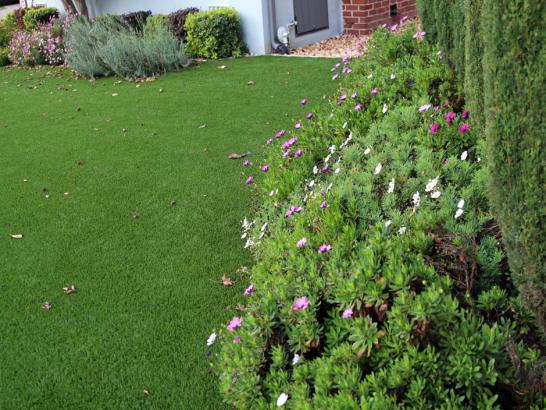 Artificial Grass Photos: Artificial Grass Installation South San Gabriel, California Roof Top, Front Yard Landscaping Ideas