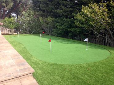 Artificial Grass Photos: Artificial Grass Lenwood, California Office Putting Green, Backyard Garden Ideas