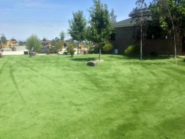 Artificial Grass Photos: Artificial Grass Palm Springs, California Dog Grass, Recreational Areas