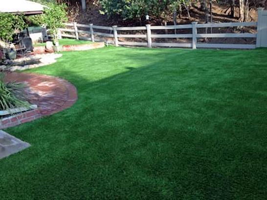 Artificial Grass Photos: Artificial Grass San Dimas, California Dog Grass, Backyard Makeover