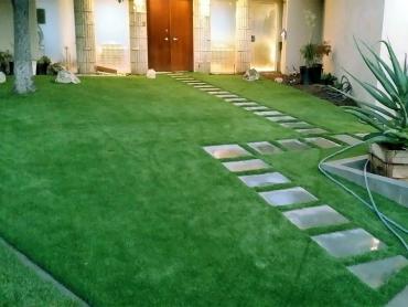 Artificial Grass Photos: Artificial Grass San Marino, California Backyard Playground, Front Yard Landscaping Ideas