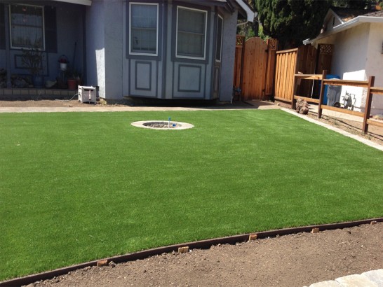 Artificial Grass Photos: Artificial Grass Westwood, California Lawn And Garden, Backyard Landscaping