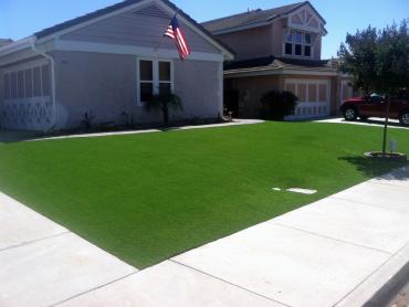 Artificial Grass Photos: Artificial Lawn Burbank, California Landscape Ideas, Front Yard Ideas