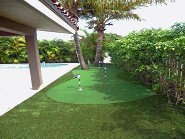 Artificial Grass Photos: Artificial Lawn Calabasas, California Indoor Putting Greens, Pool Designs