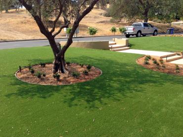 Artificial Grass Photos: Artificial Lawn Claremont, California Design Ideas, Front Yard Landscape Ideas