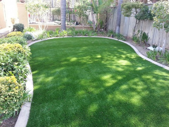 Artificial Grass Photos: Artificial Lawn Malibu Beach, California Rooftop