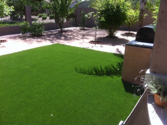 Artificial Grass Photos: Artificial Lawn Topanga, California Artificial Turf For Dogs, Backyards