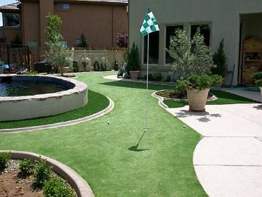 Artificial Grass Photos: Artificial Lawn Valinda, California Diy Putting Green, Backyard Landscaping Ideas