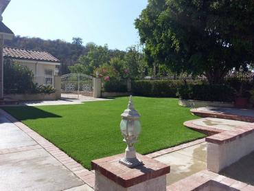 Artificial Grass Photos: Artificial Lawn View Park-Windsor Hills, California Landscaping, Front Yard Ideas