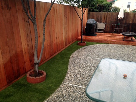 Artificial Lawn West Rancho Dominguez, California Pet Turf, Backyard Garden Ideas artificial grass