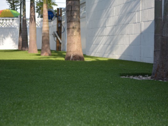 Artificial Grass Photos: Artificial Turf Agoura Hills, California City Landscape, Commercial Landscape