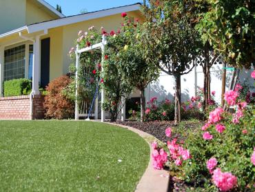 Artificial Grass Photos: Artificial Turf Altadena, California Landscape Ideas, Front Yard Landscaping Ideas