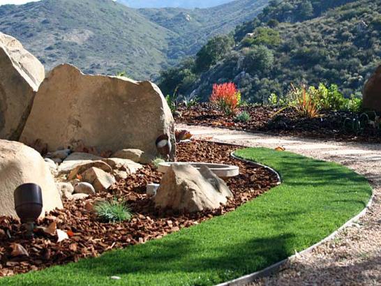 Artificial Grass Photos: Artificial Turf Cathedral City, California City Landscape, Front Yard