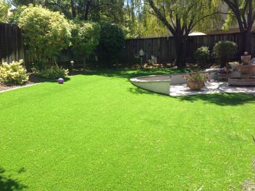 Artificial Grass Photos: Artificial Turf Cost Avocado Heights, California Backyard Deck Ideas, Backyard Garden Ideas