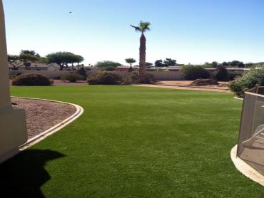 Artificial Grass Photos: Artificial Turf Cost Hemet, California Rooftop, Backyard Ideas