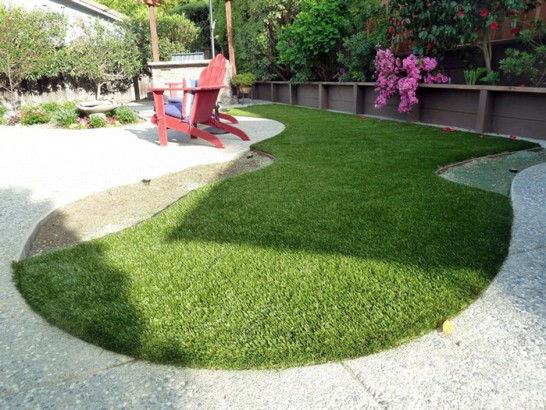 Artificial Grass Photos: Artificial Turf Cost Indio, California Backyard Deck Ideas, Backyard Design