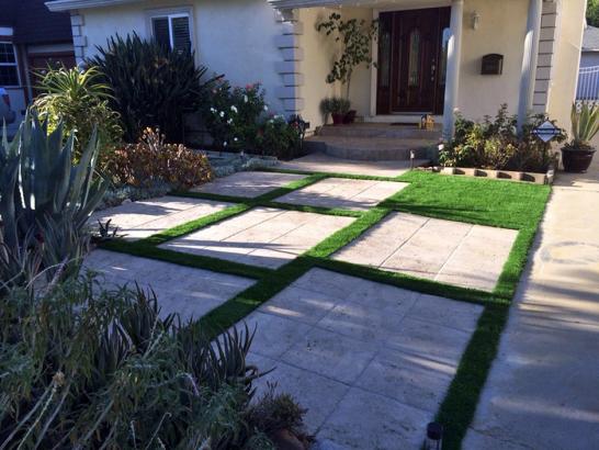 Artificial Grass Photos: Artificial Turf Cost Inglewood, California Landscape Design, Front Yard Ideas