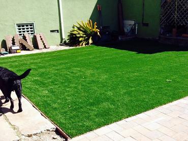 Artificial Grass Photos: Artificial Turf Cost La Habra Heights, California Dog Running, Backyards