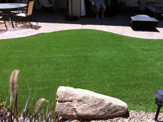 Artificial Grass Photos: Artificial Turf Cost Ladera Heights, California Lawns, Beautiful Backyards