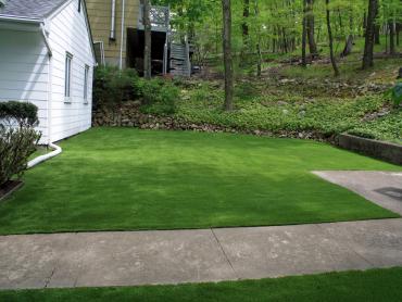 Artificial Grass Photos: Artificial Turf Cost Malibu Beach, California Roof Top, Front Yard