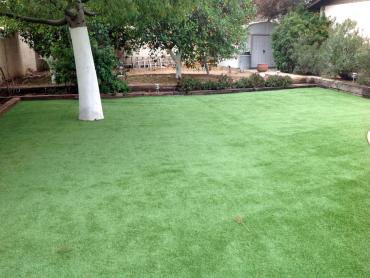 Artificial Grass Photos: Artificial Turf Cost Mountain Center, California Backyard Deck Ideas, Backyard Ideas