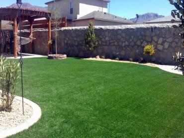 Artificial Grass Photos: Artificial Turf Cost Ontario, California Landscape Design, Backyard Garden Ideas