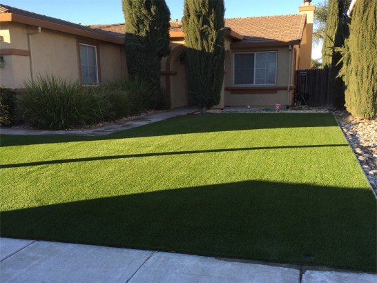 Artificial Grass Photos: Artificial Turf Cost Redondo Beach, California Gardeners, Front Yard Design