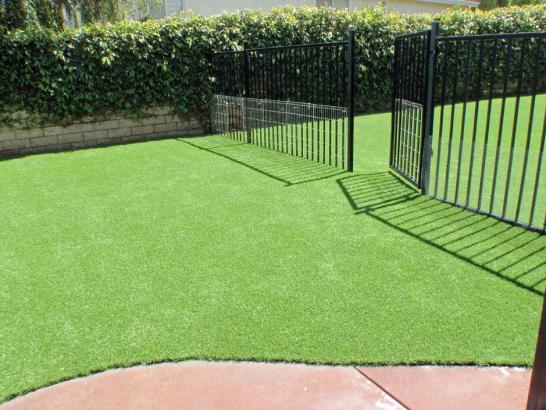 Artificial Grass Photos: Artificial Turf Cost Signal Hill, California Garden Ideas, Front Yard Design