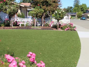 Artificial Grass Photos: Artificial Turf Cost Walnut Park, California Lawns, Front Yard