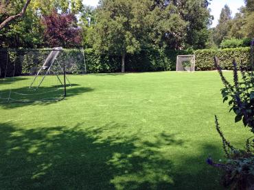 Artificial Grass Photos: Artificial Turf Cost Westmont, California Soccer Fields, Backyard Landscaping