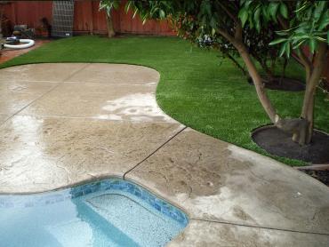 Artificial Grass Photos: Artificial Turf El Monte, California Roof Top, Backyard Ideas